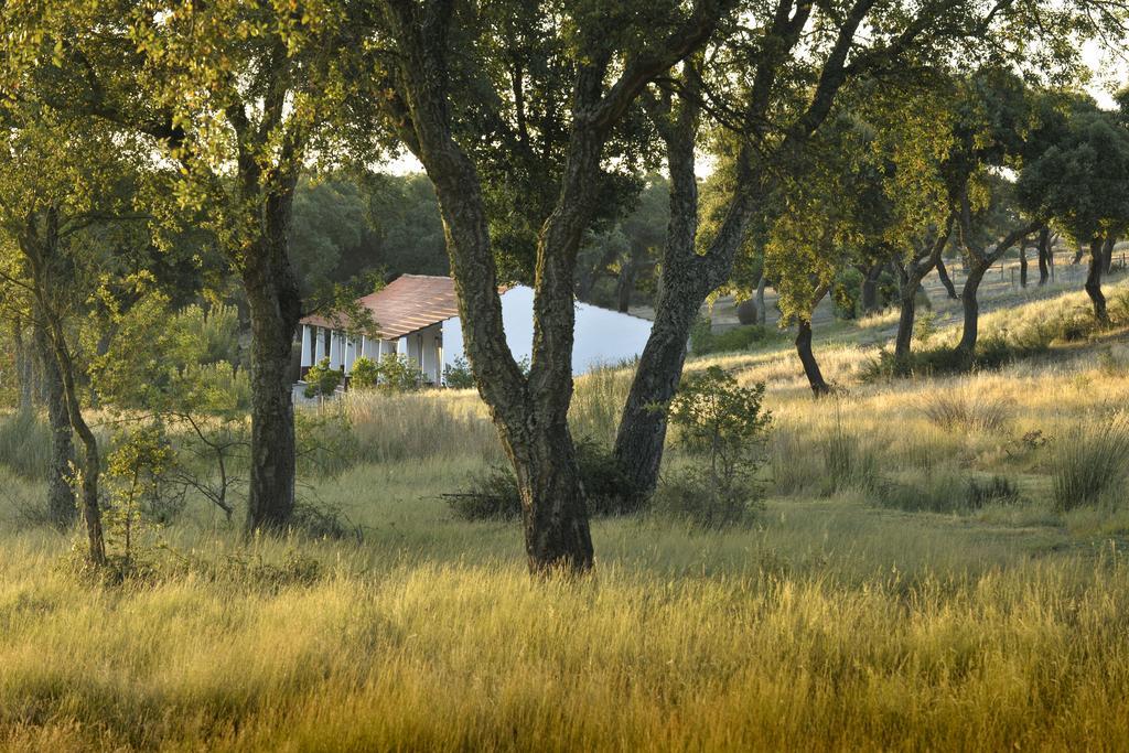 Grândola Herdade Das Barradas Da Serra מראה חיצוני תמונה