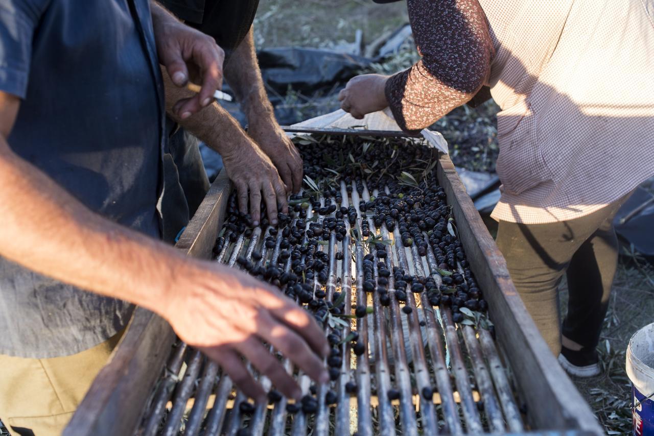 Grândola Herdade Das Barradas Da Serra מראה חיצוני תמונה