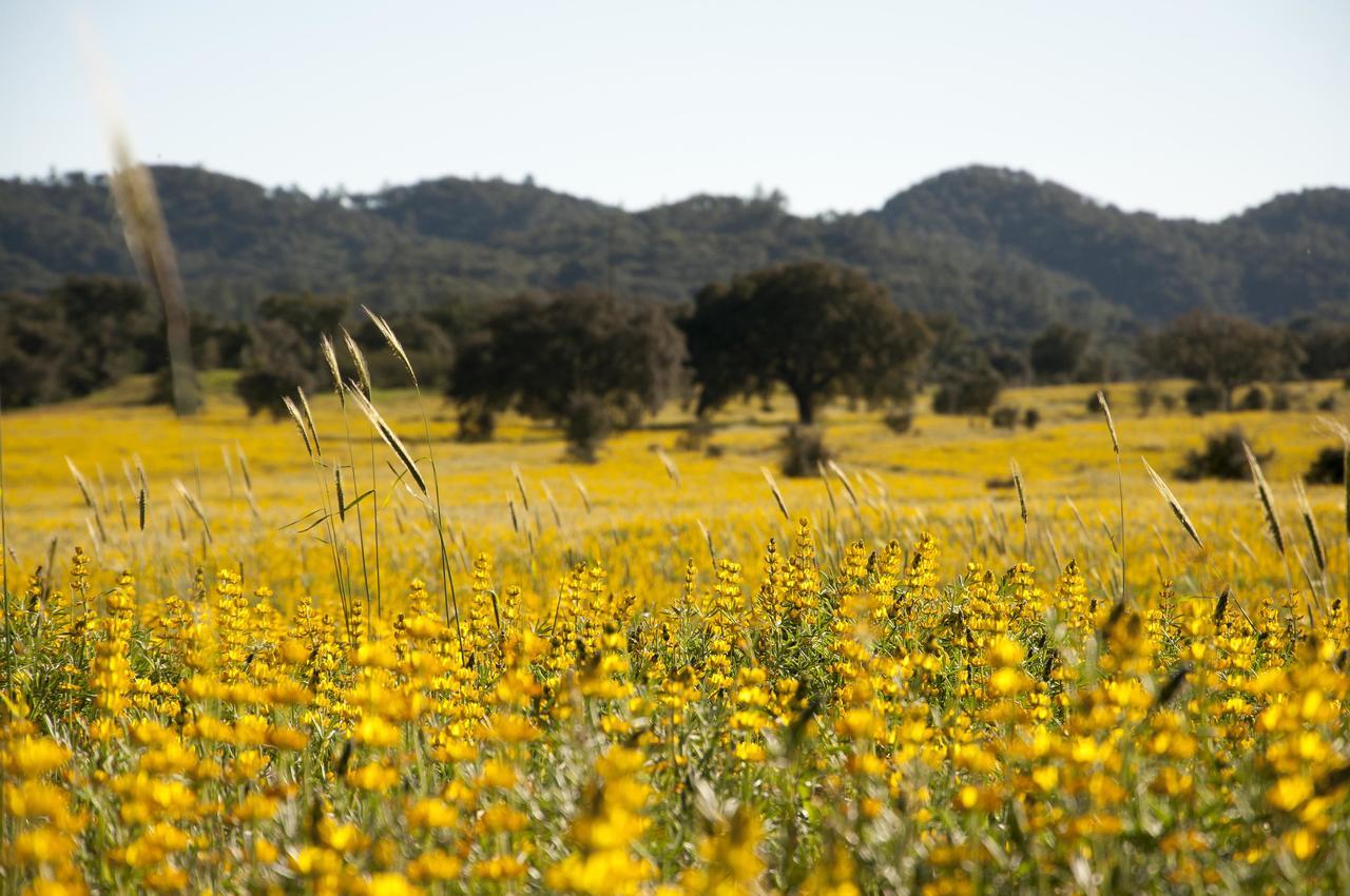 Grândola Herdade Das Barradas Da Serra מראה חיצוני תמונה